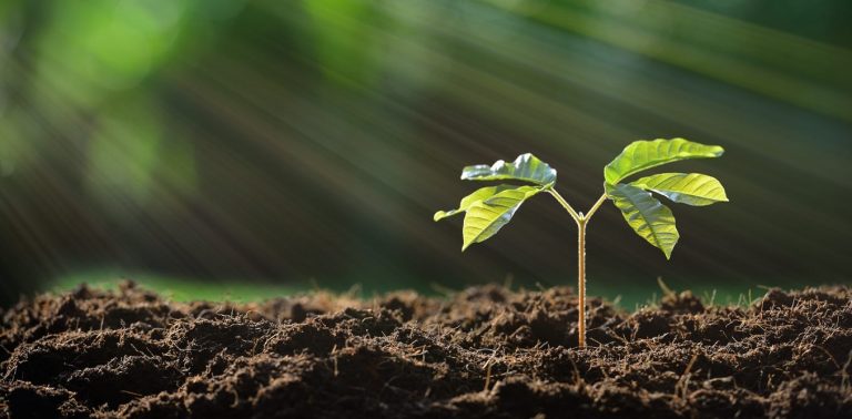 تجربة وتقرير الوزن النوعي للتربة مع المناقشة - Specific Gravity