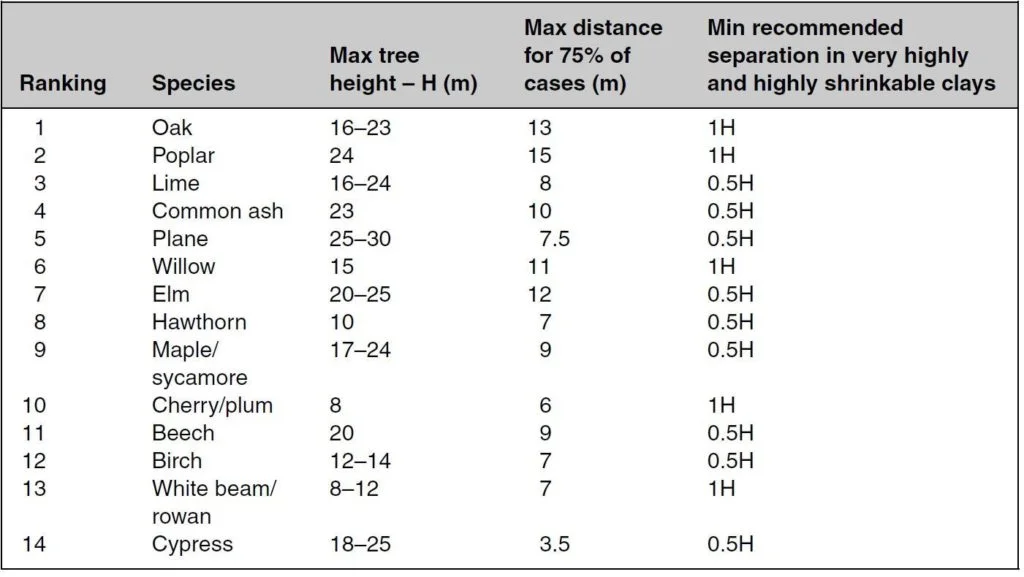 تأثير جذور الأشجار على البناء