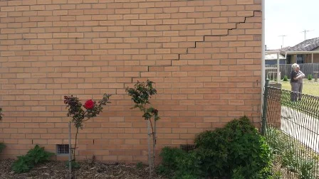 تشقق المبنى بسبب جذور الأشجار