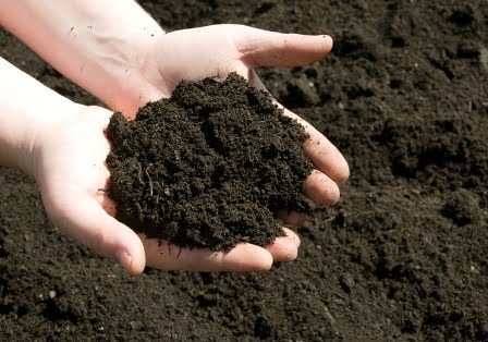تجربة المحتوى الرطوبي للتربة مع المناقشة (Determination Of Water Content) 1 المحتوى الرطوبي للتربة